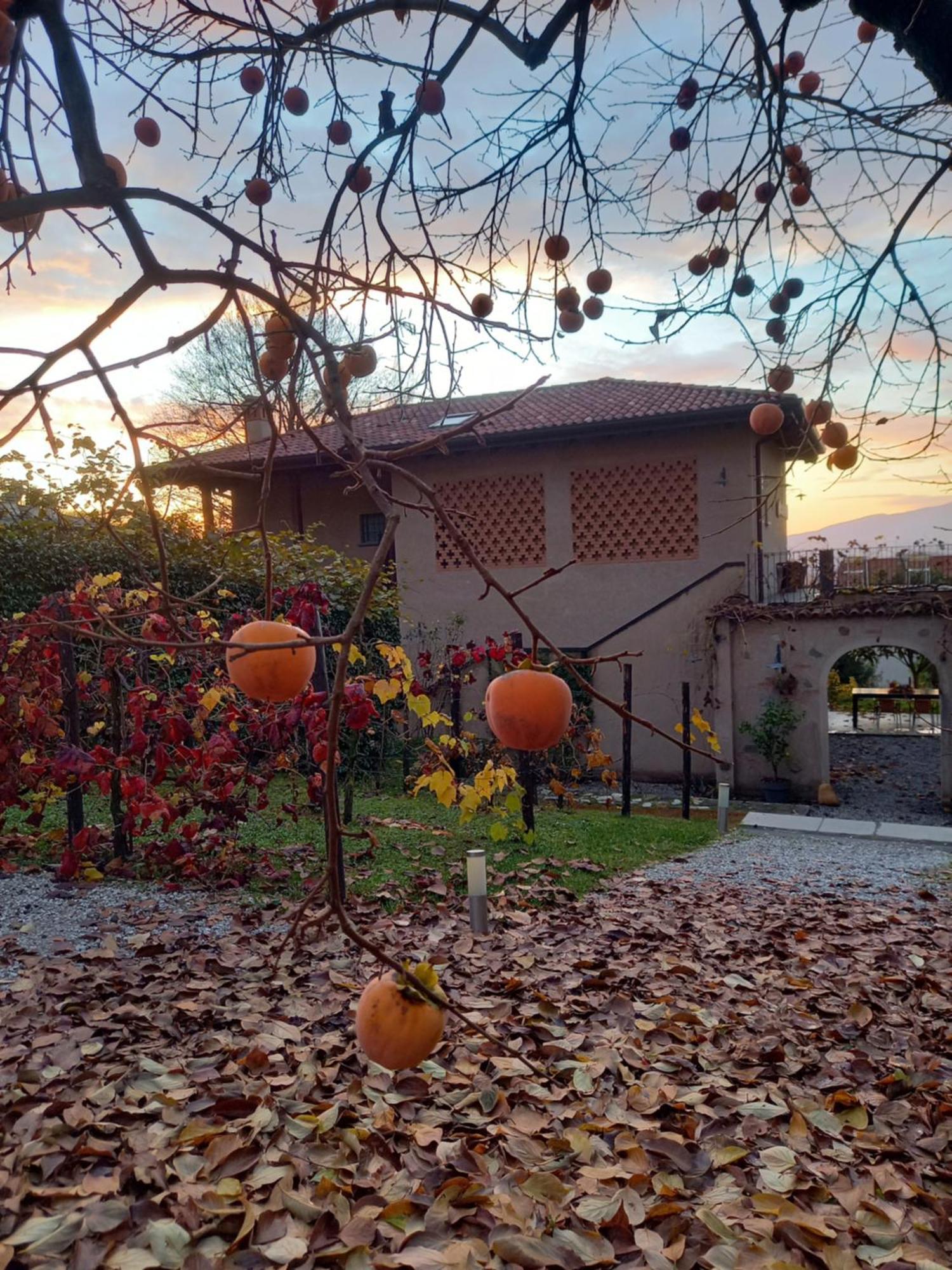 b&b cascina la cinciallegra Oggiono Exterior foto